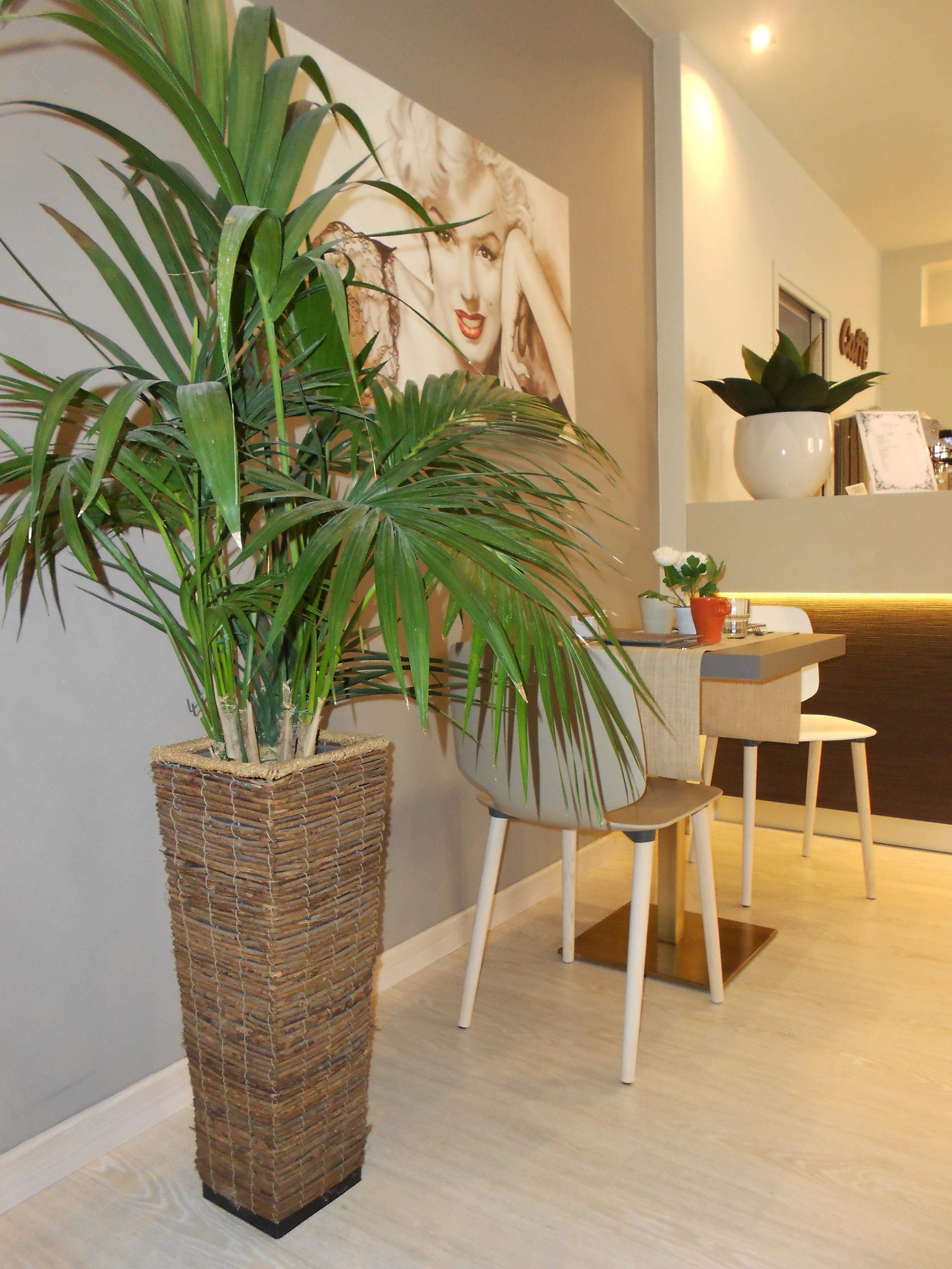 Hotel Ares Milano Extérieur photo
